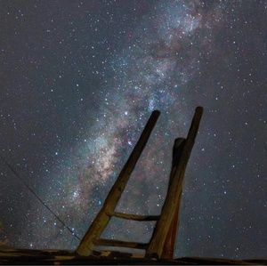 Meet your Posher, Louvette